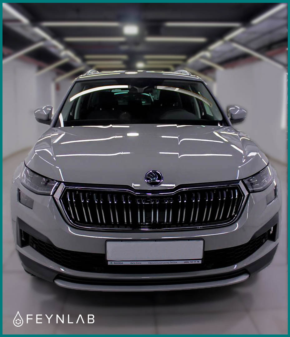 Skoda Kodiaq серая детейлинг Feynlab фото